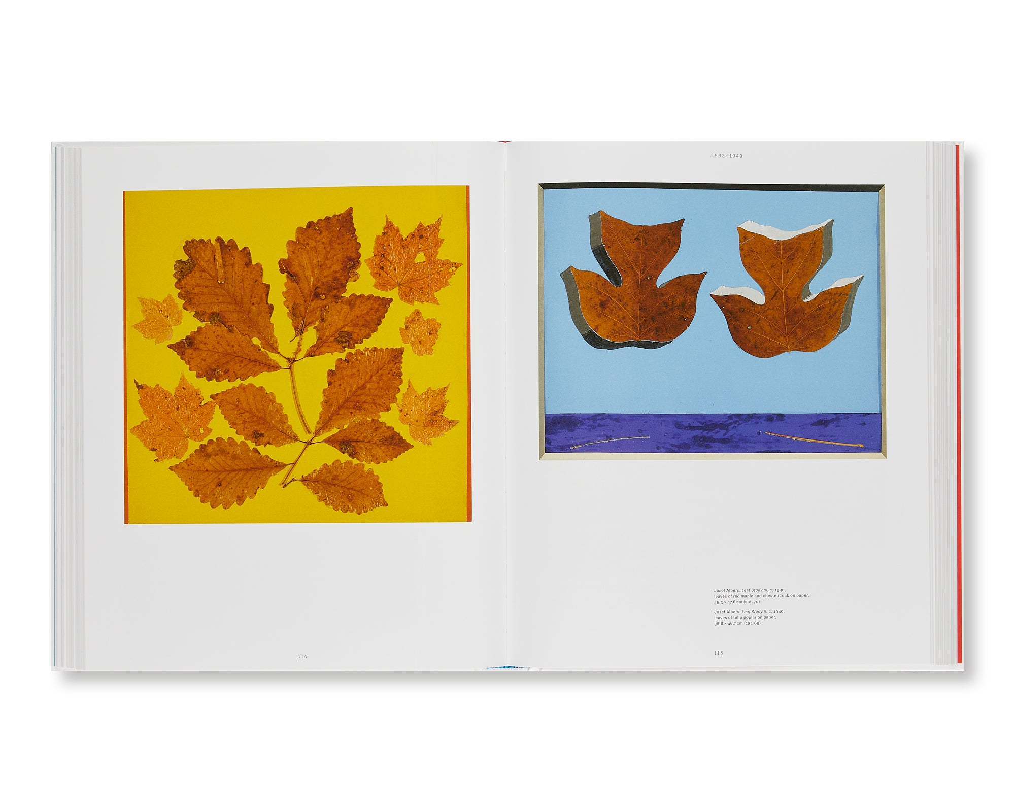 ART AND LIFE by Anni Albers and Josef Albers - Modern Abstract Art Book for Home Decor, Office Inspiration & Gift Ideas