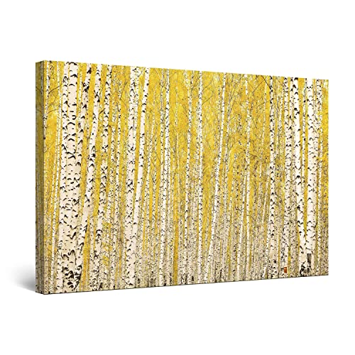 Yellow Green Forest