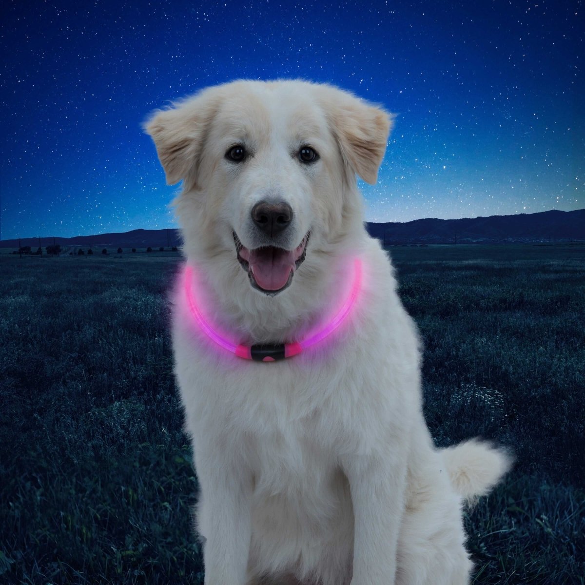 Nite Ize NITEHOWL® LED Safety Necklace - High Visibility Light Up Dog Collar for Night Walking, Running, and Outdoor Adventures