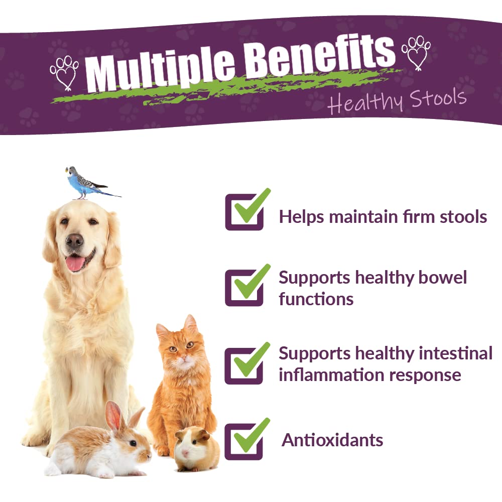 AMBER NATURALZ Kochi Free Herbal Pet Supplement for Dogs, Cats, Birds, Guinea Pigs & Rabbits | Natural Digestive Support for Healthy Stool | 4oz Glass Bottle | Made in USA | Supports Digestive Health for Small Pets at Home or Travel