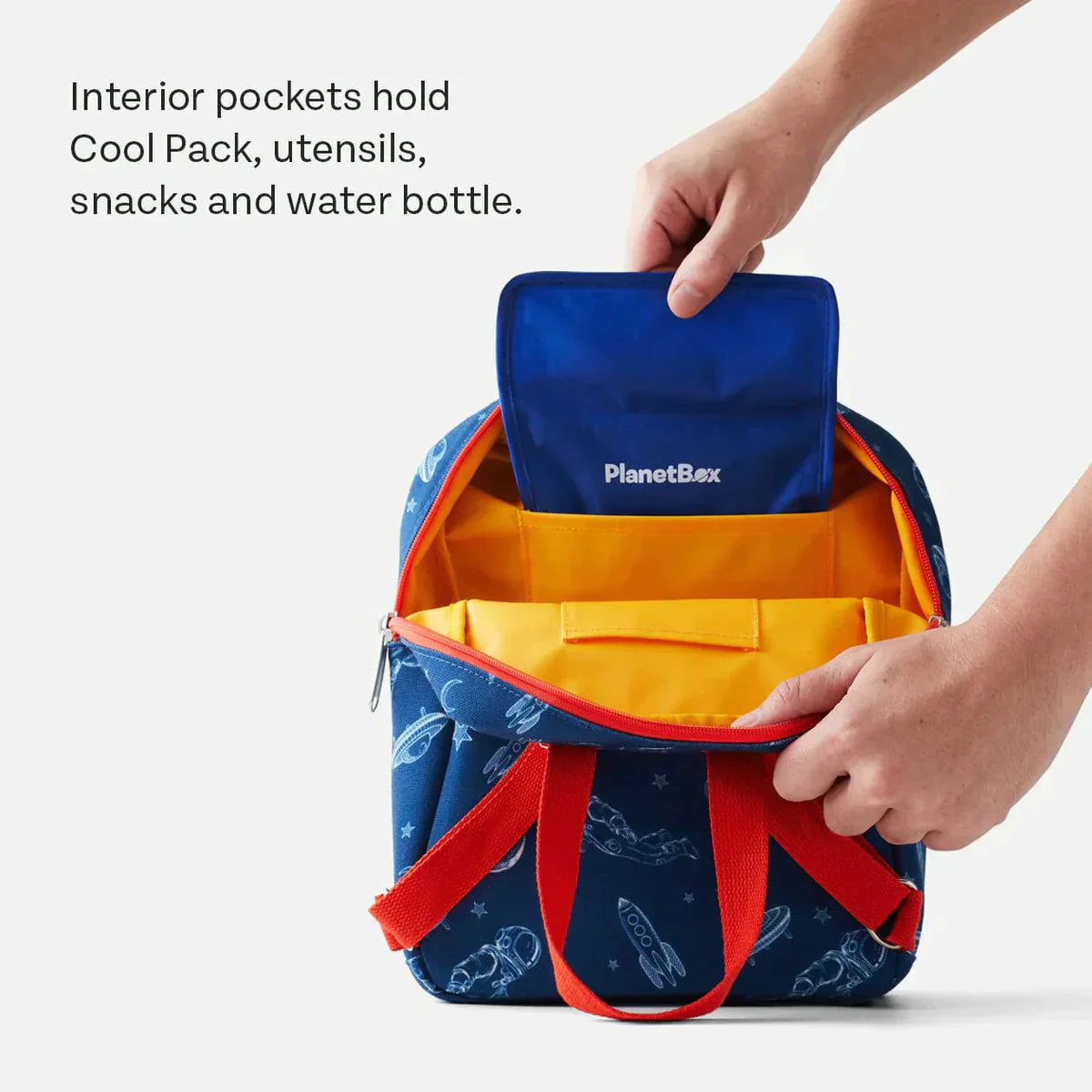 PlanetBox Eco-Friendly Insulated Lunch Tote Bag for Kids & Adults - Perfect for School, Work, Picnics & Outdoor Activities