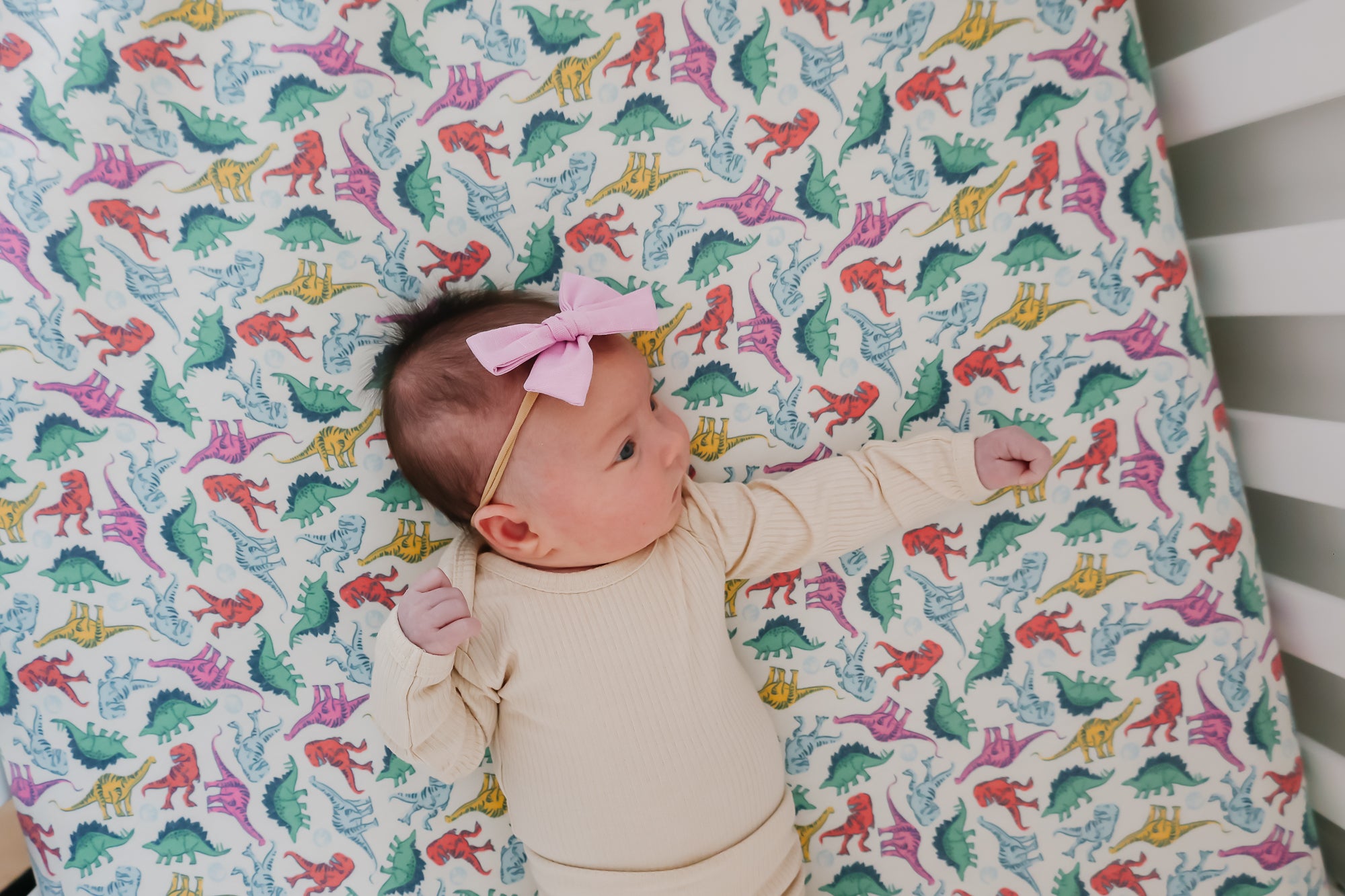 Premium Knit Fitted Crib Sheet - Soft Baby Crib Mattress Cover with Jurassic Park Dinosaur Design | Perfect for Nursery, Baby Shower Gifts & Toddler Bedroom Decor