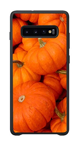 For S10 Plus(6.4in)