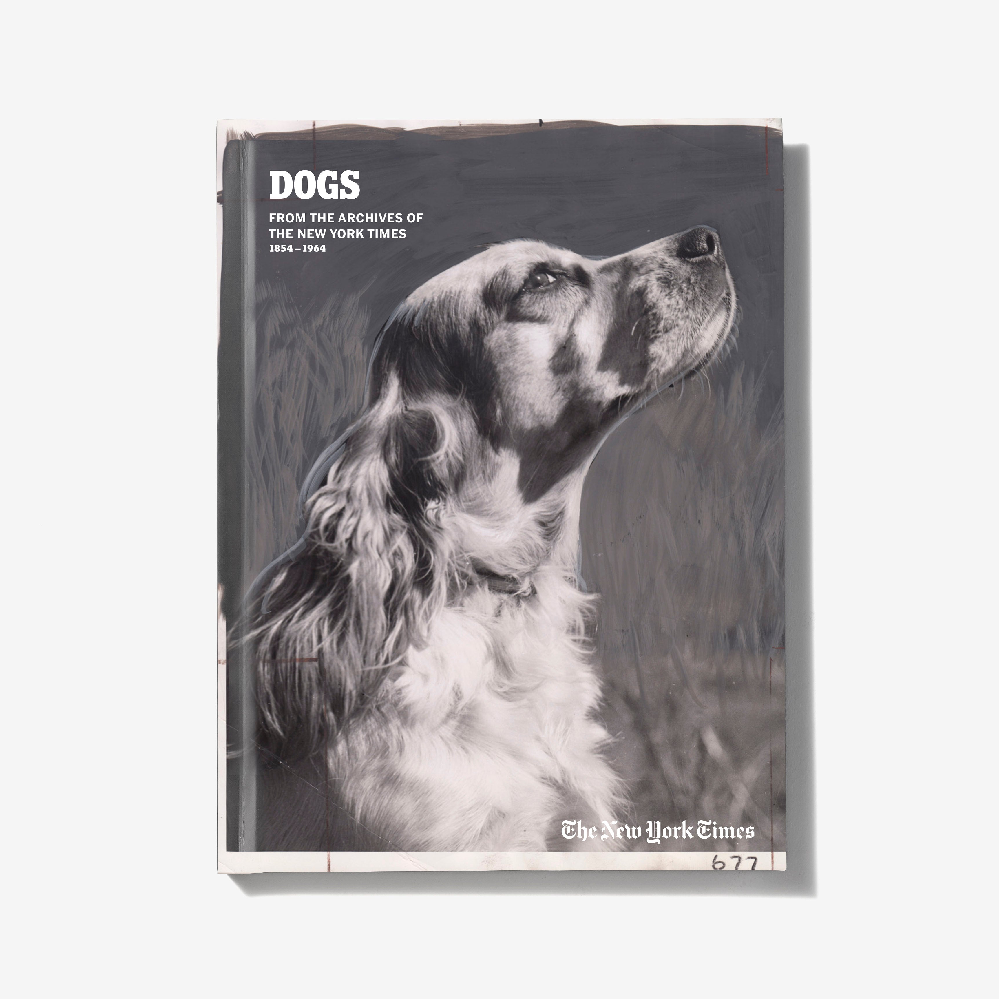 The Times Dog Collection - Premium Pet Accessories for Dogs | Perfect for Gifts, Home Decor & Dog Lovers