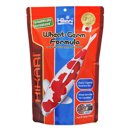Premium Hikari Koi Wheat Germ Floating Fish Food Pellets - High Protein Diet for Healthy Koi & Goldfish - Ideal for Outdoor Ponds & Water Gardens