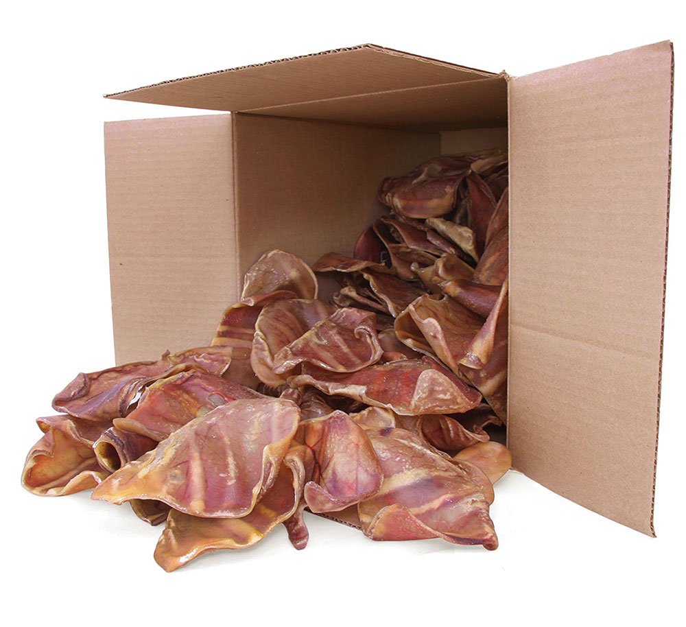 GigaBite Roasted Pig Ears for Dogs - 100% Natural Dog Treats for Puppies & Aggressive Chewers | Whole, Slices & Sticks Options | Promotes Dental Health & Clean Teeth | Perfect for Training Rewards, Anxiety Relief & Long-Lasting Chewing Fun (Pack of 100)