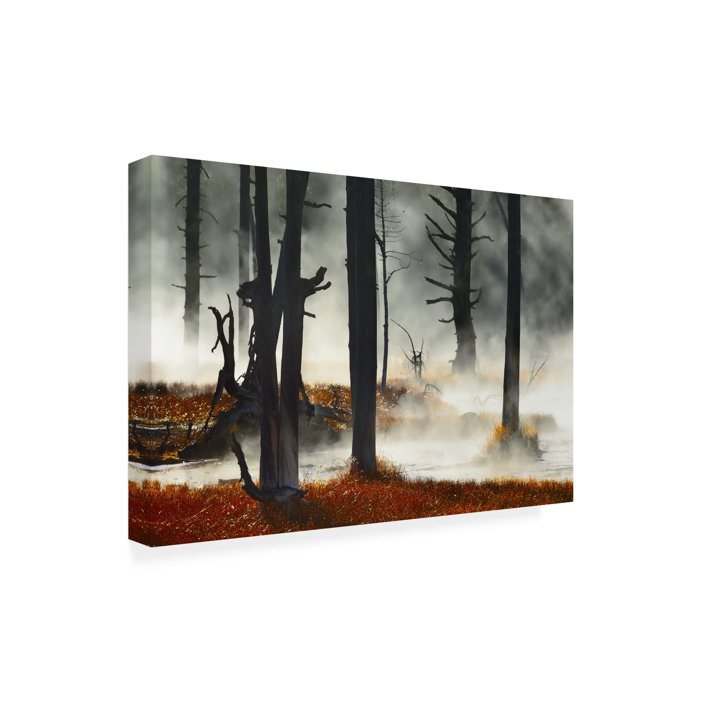 Deadwood Canvas Art Print by Izodor Gasperlin - Premium Trademark Fine Art Wall Decor for Living Room, Bedroom & Office