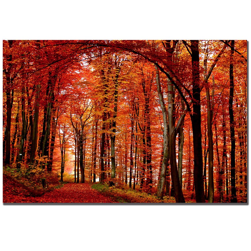 Philippe Sainte-Laudy The Red Way Canvas Art Print - Modern Abstract Wall Decor for Living Room, Bedroom & Office - Premium Framed Artwork for Home & Office Decor