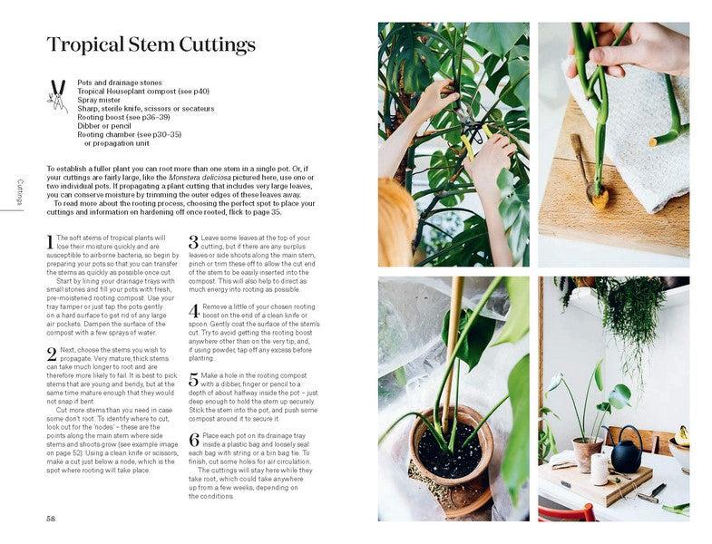 Root, Nurture, Grow - Organic Plant Growth Enhancer for Healthy Gardens | Perfect for Indoor Plants, Outdoor Gardening & Sustainable Farming