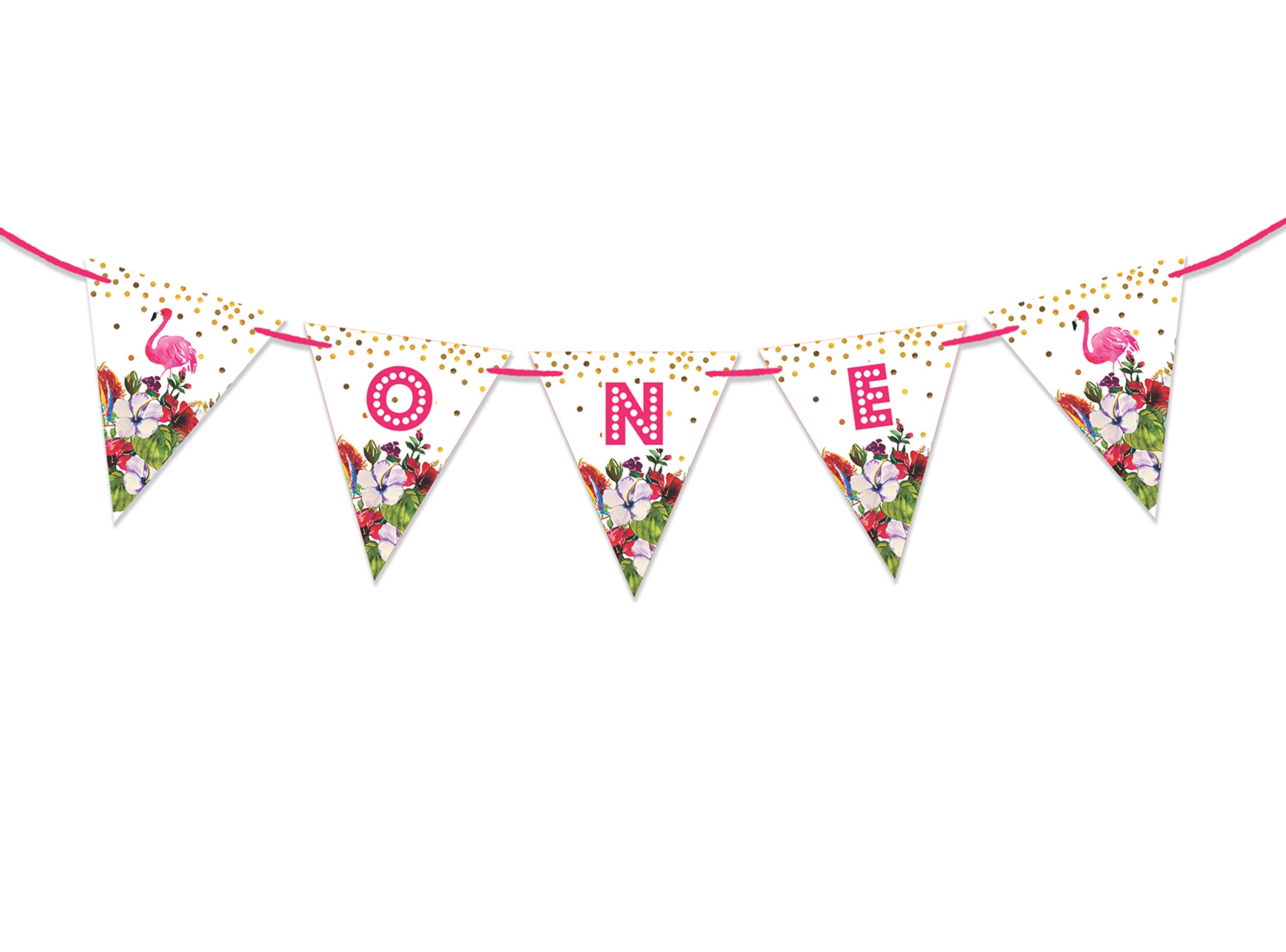 Pre-Strung 'I Am 1' Birthday Party Decorations - Tropical Themed Pennant Banner Flags for Boys - Perfect for 1st Birthday Celebrations, Baby Showers & Nursery Decor