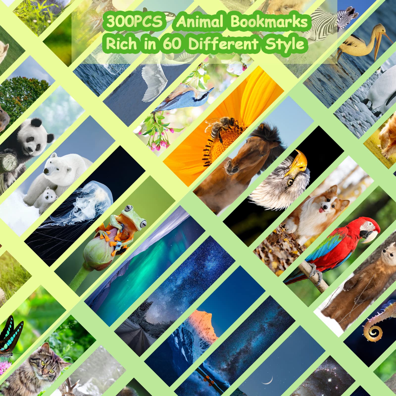 300PCS Bulk Animal Bookmarks for Kids - 60 Unique Wildlife Designs, Double-Sided Cute Book Markers for Students, Classroom Rewards & Gifts | Perfect for Reading Incentives, School Prizes & Book Lovers