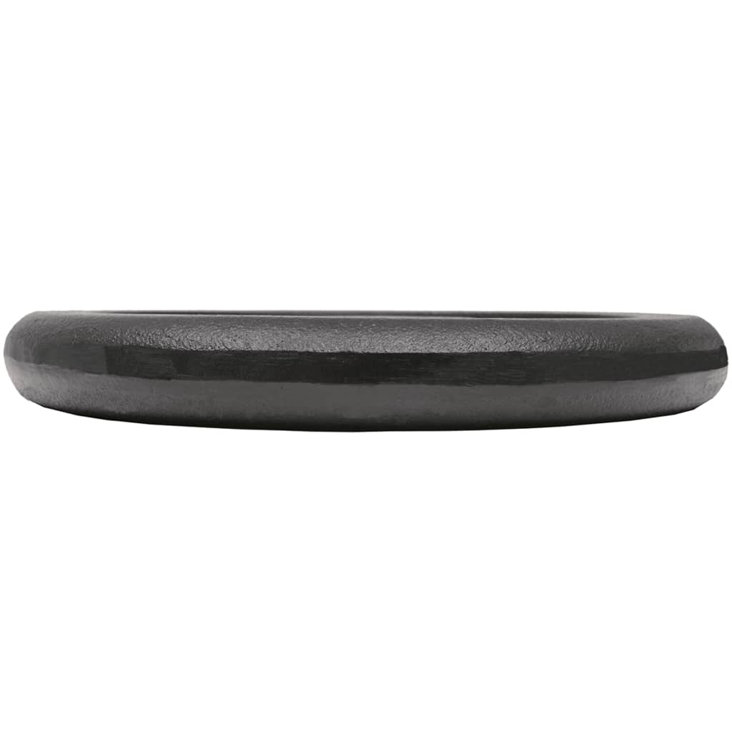 vidaXL 2-Pack 10 kg Cast Iron Weight Plates for Home Gym & Strength Training – Durable Fitness Equipment for Weightlifting, CrossFit, and Workout Routines
