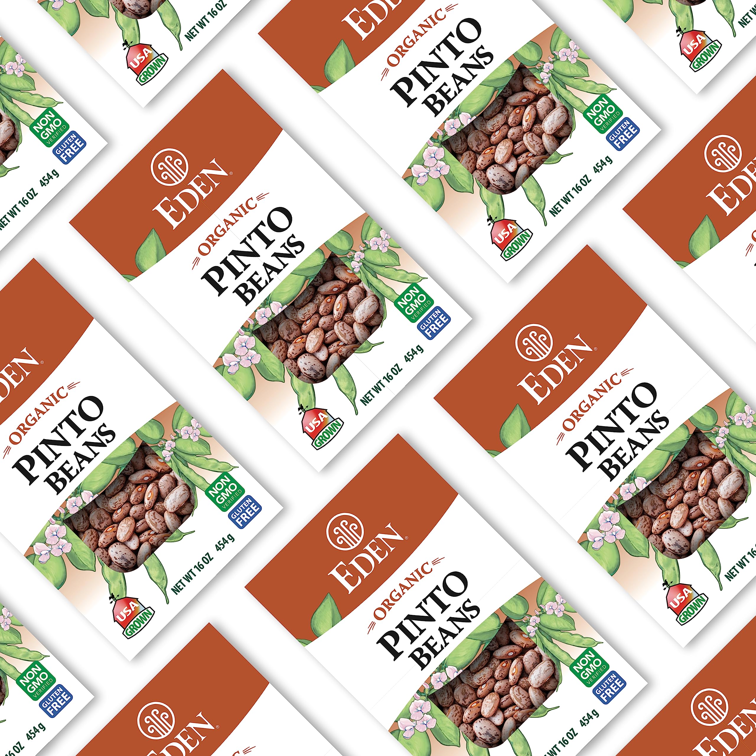 Eden Foods Organic Dry Pinto Beans - Gluten Free, Non-GMO, 16 Oz (Pack of 12) - Perfect for Healthy Cooking, Mexican Dishes & Meal Prep