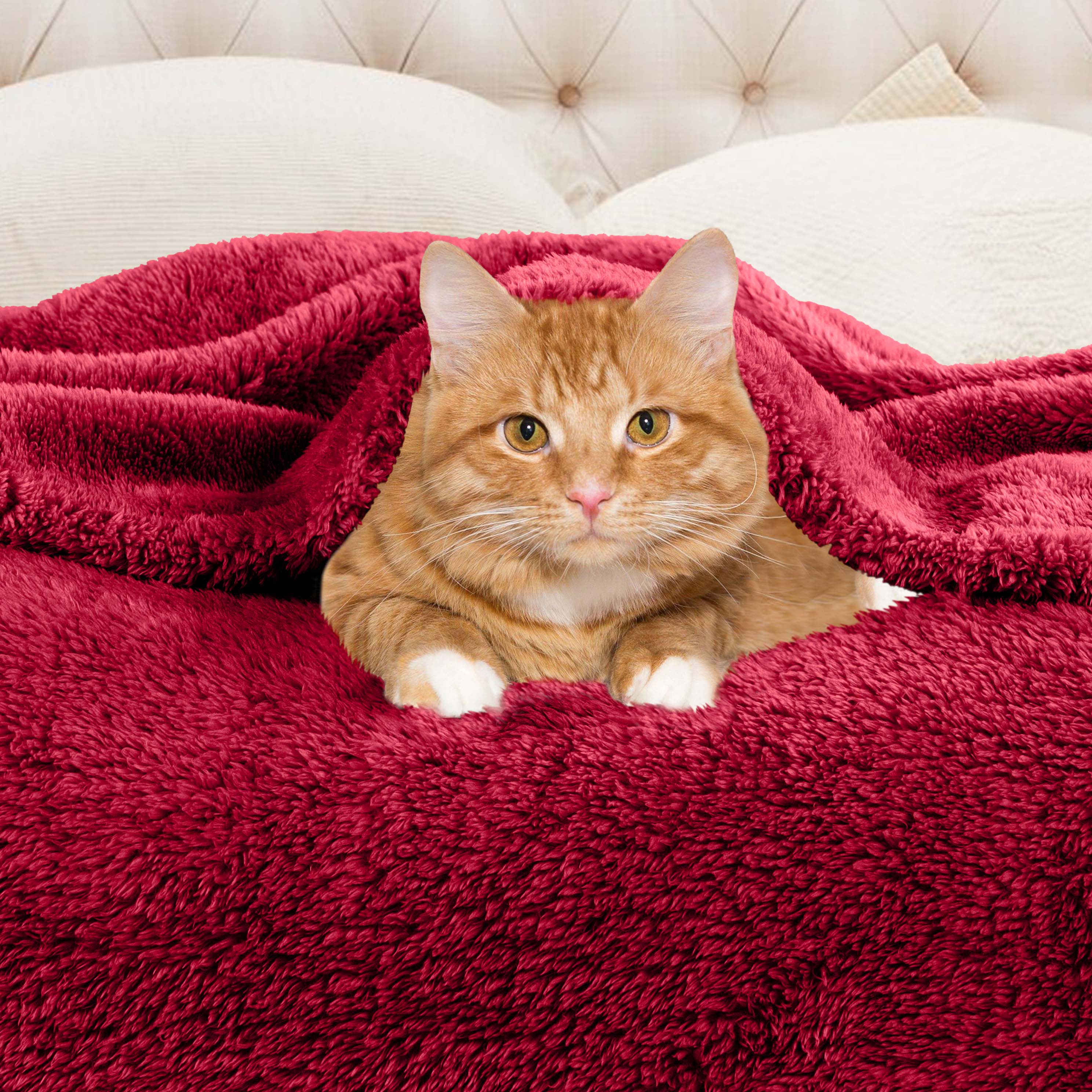 Classic Solid Fleece Plush Medium Weight Fluffy Soft Blanket - Cozy & Warm for Bed, Sofa, Travel & Gifts | Ultra-Soft Throw Blanket for All Seasons
