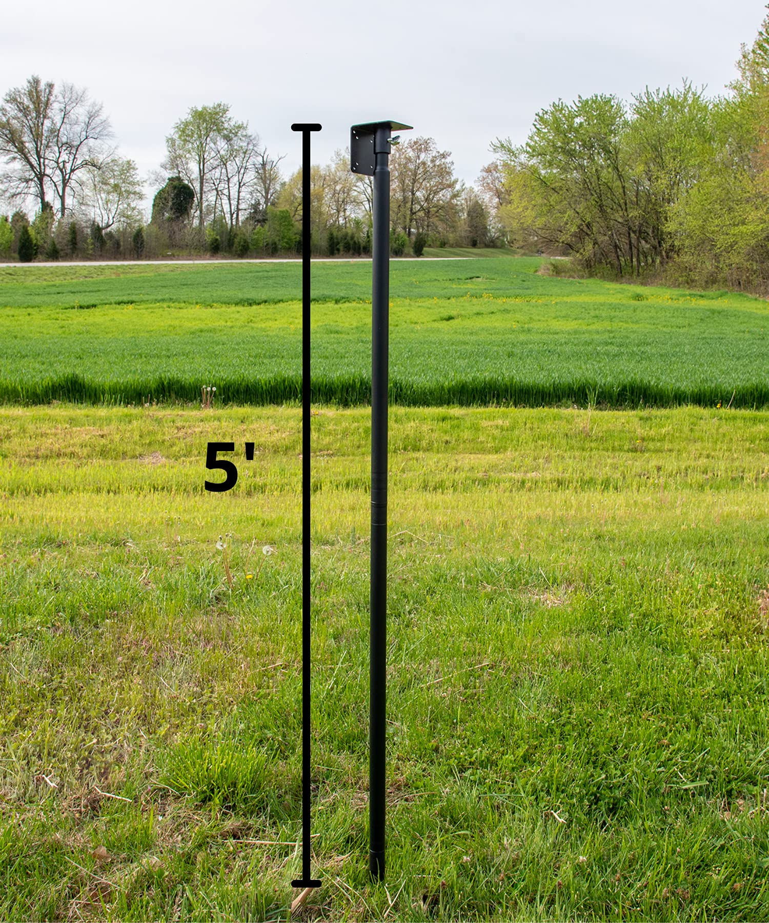 Patriotic Large Fly-Thru Bird Feeder with Universal Mounting Pole Kit - Holds 8 Cups of Wild Bird Seed - Perfect for Backyard Bird Watching & Outdoor Decoration