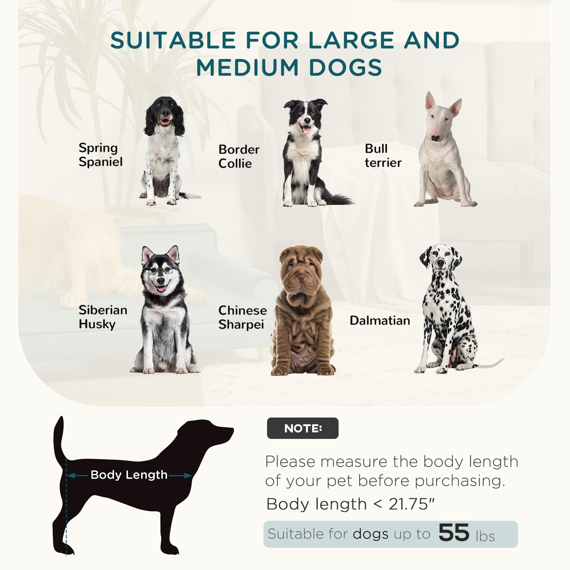 PawHut Large Dog Sofa Bed with Washable Cover & Wooden Legs - Elevated Foam Pet Couch for Medium & Large Dogs - Teal Color - Perfect for Living Room, Bedroom & Pet-Friendly Spaces