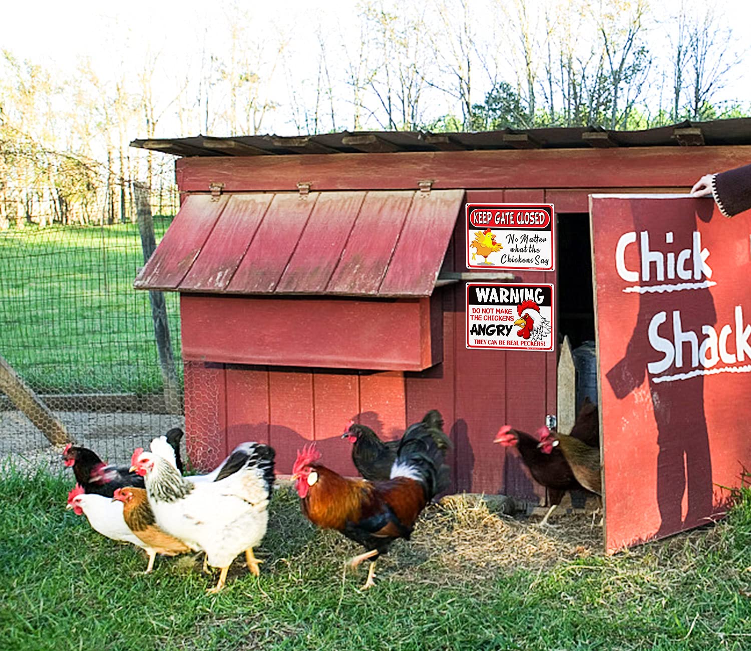 8x12 Inch Chicken Warning Sign - Rust-Free Reflective Aluminum - Weatherproof & Fade Resistant - Easy Mounting for Indoor/Outdoor Use - Perfect for Farms, Coops & Backyard Poultry Areas