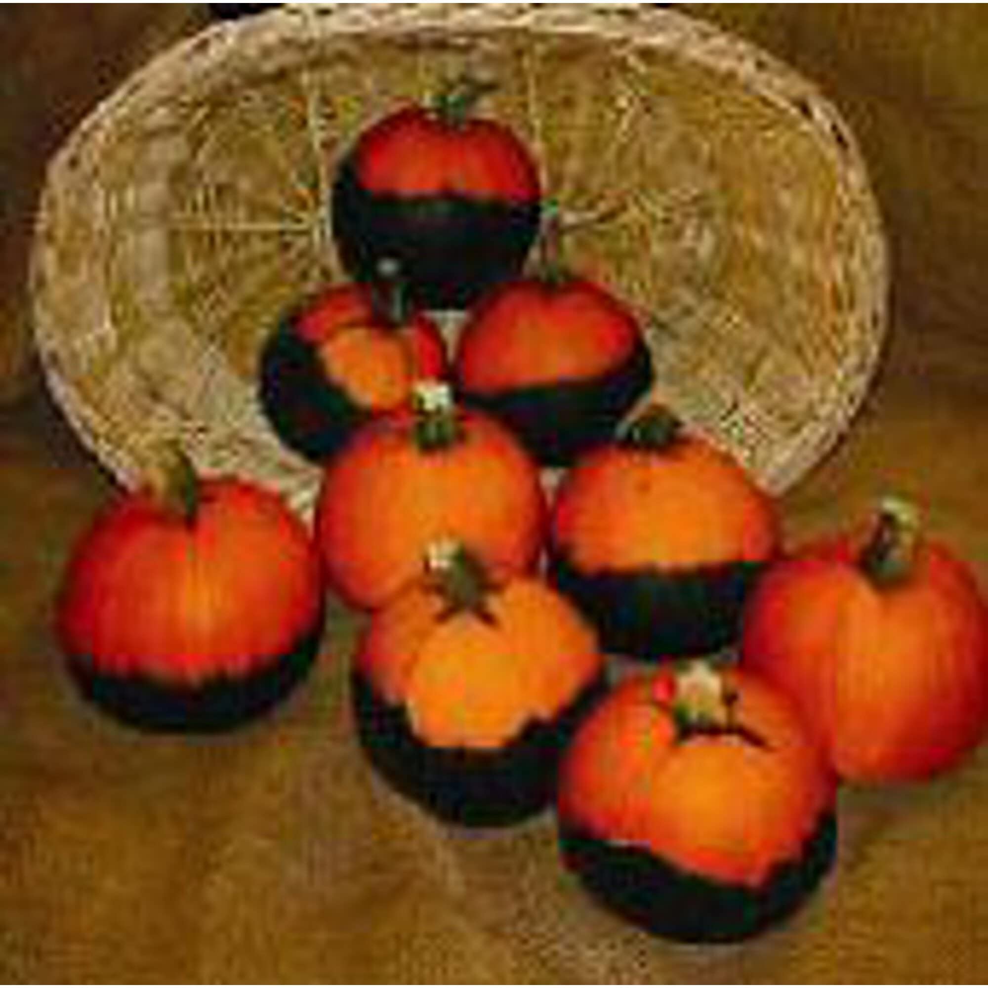 Organic Batwing Pumpkin Seeds (20+ Seeds) | Non-GMO Heirloom Variety | Vegetable & Fruit Seeds for Planting | Home Garden, Greenhouse, Backyard Farming | Perfect for Halloween Decor & Fall Harvest