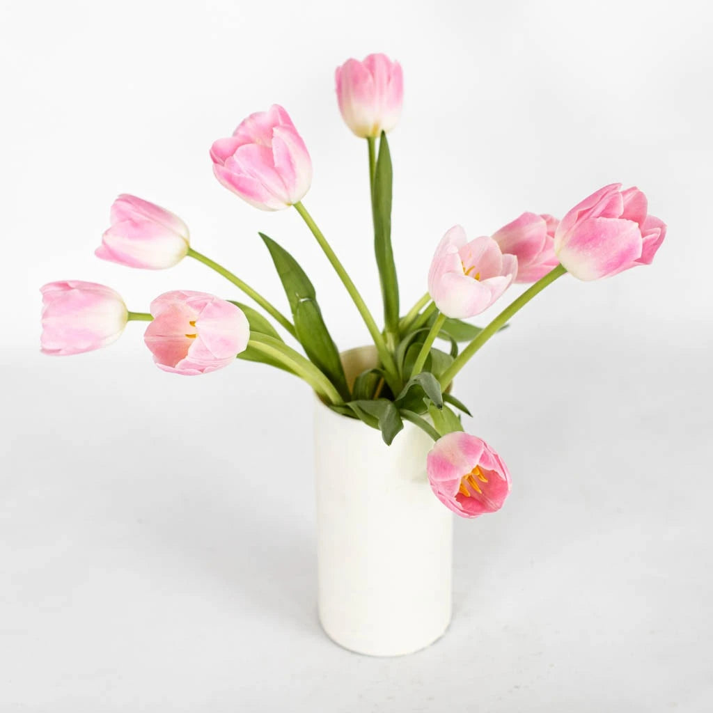 Bulk Tulip Flowers for Wedding Bouquets, Home Decor & Floral Arrangements | Fresh Cut Blush Pink Tulips Wholesale