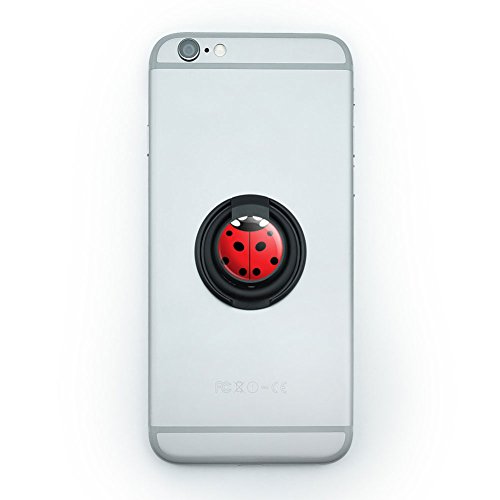 Lady Bug Ladybug Insect