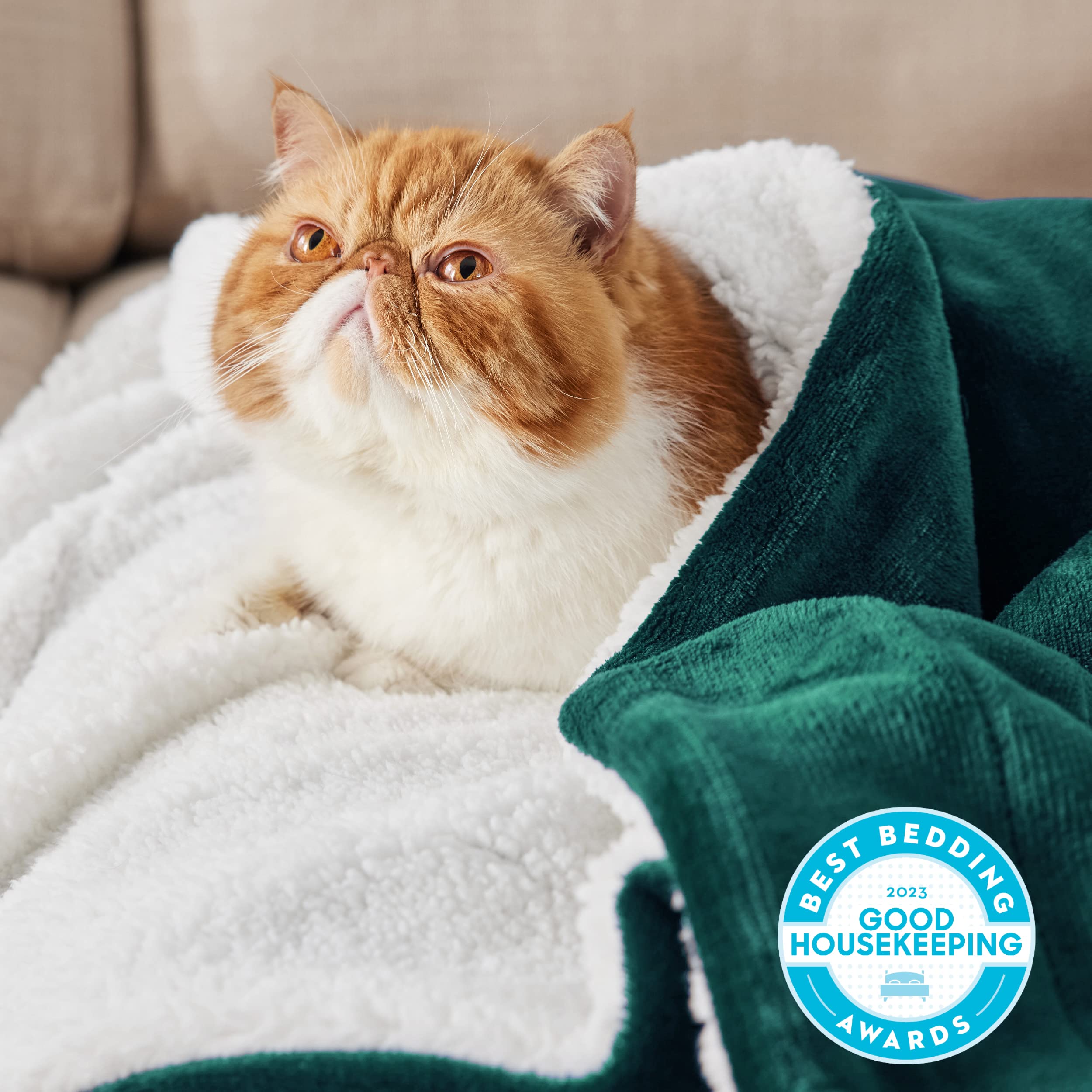 Bedsure Sherpa Fleece Blankets King Size 108x90 Inches - Ultra Soft & Warm Plush Blanket for Winter, Bed, Couch, Sofa - Cozy Home Decor in Forest Green - Perfect for Cold Nights, Movie Time & Gift Giving