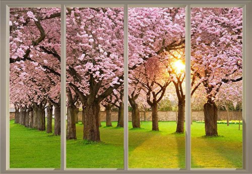 Cherry Blossom Trees