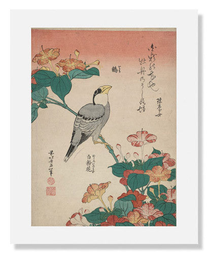 Katsushika Hokusai Art Print - Hawkfinch and Marvel of Peru Flower Japanese Woodblock Wall Decor | Perfect for Home, Office & Art Gallery Display