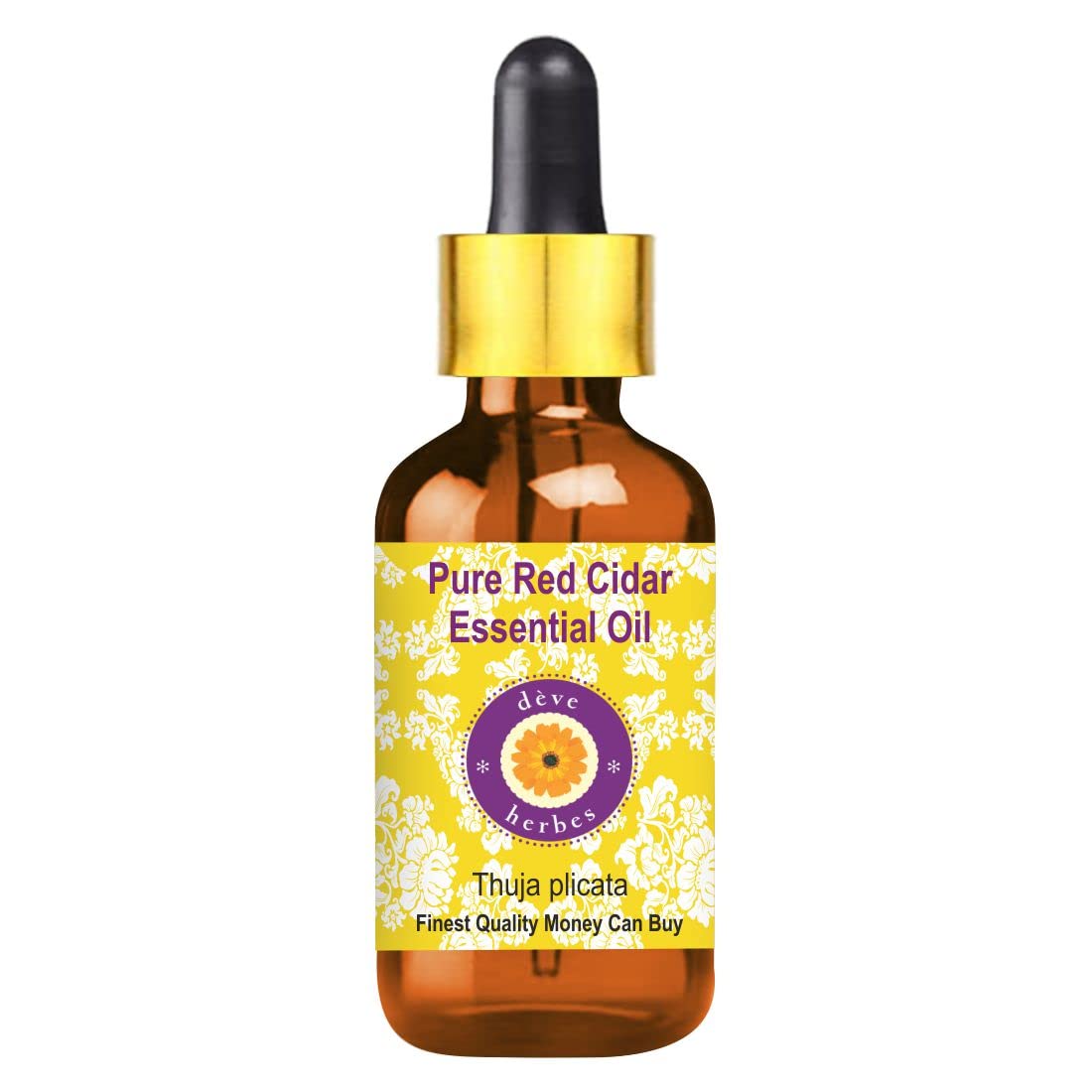 Deve Herbes Pure Red Cedar Essential Oil (Thuja plicata) - 5ml Steam Distilled with Glass Dropper - Aromatherapy, Diffuser & DIY Skincare Use