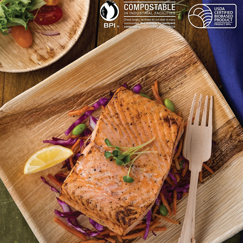 Tree Choice 9 Inch Square Palm Leaf Plates - 100 Count Eco-Friendly Disposable Plates for Parties, Weddings & Outdoor Dining - Biodegradable & Compostable Dinnerware