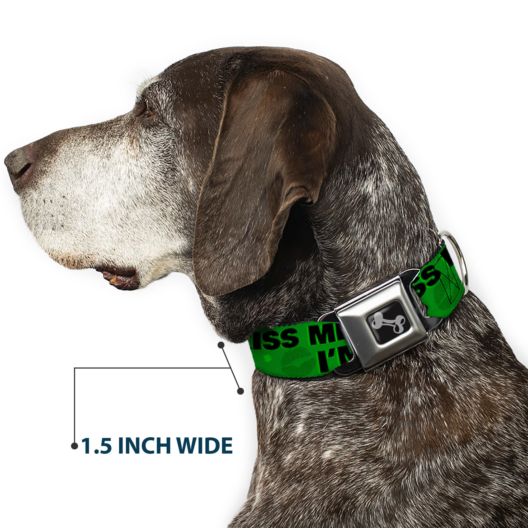 Dog Seatbelt Collar with Buckle - Kiss Me I'm Irish Clover Design, Green & Black, 16-23 Inches, 1.5 Inch Wide - Safe Car Travel for Medium Dogs