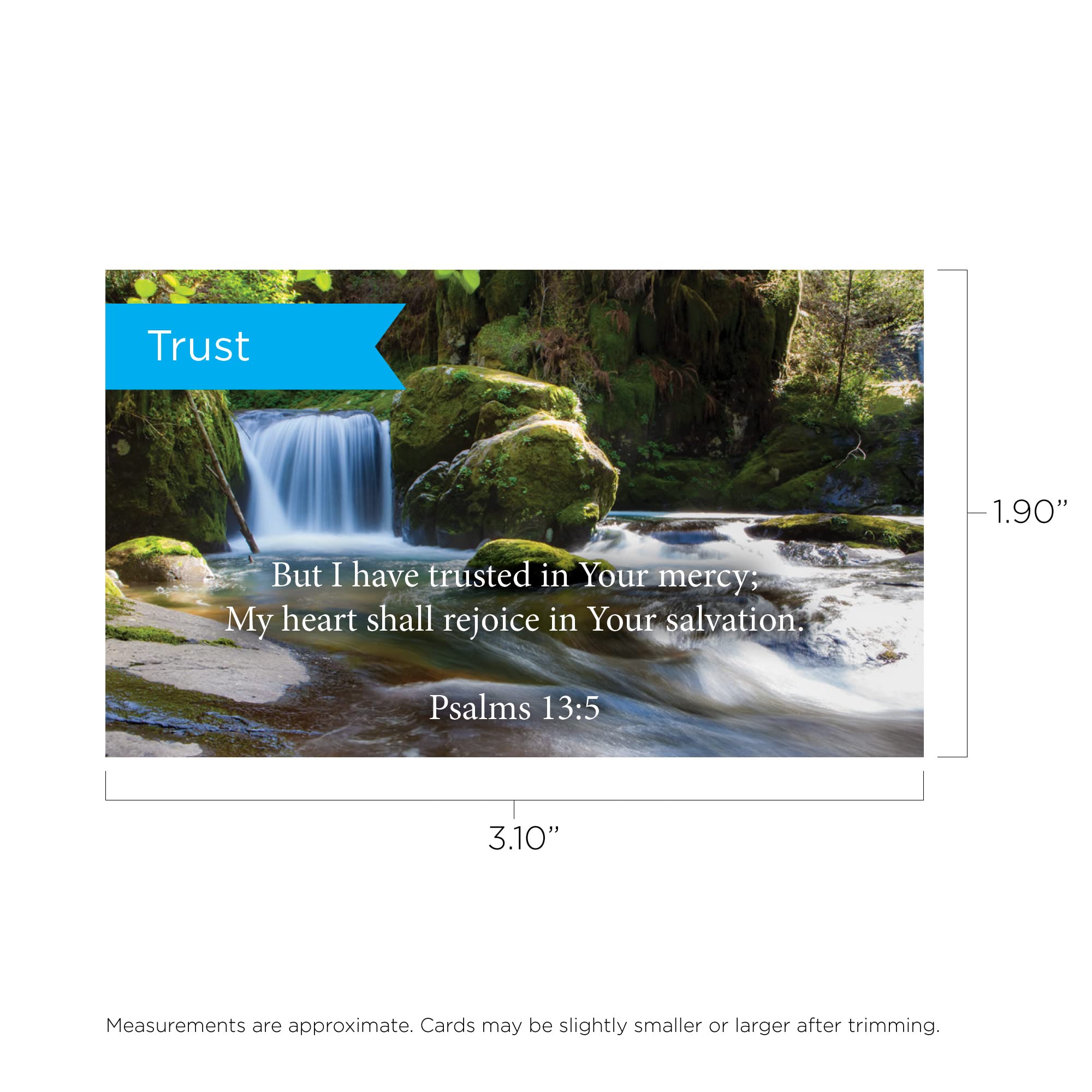 Trust Scripture Cards - Psalm 13:5, Pack of 25 Inspirational Bible Verse Wallet Cards for Devotional, Bible Study & Memorization | Christian Encouragement Cards for Church, Small Groups & Personal Faith Journey