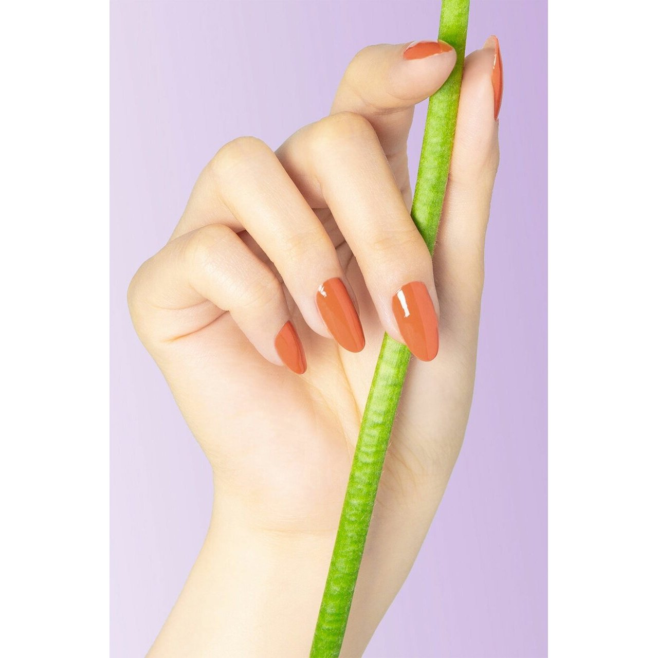 Cirque Colors Arabesque Nail Polish - 0.37 oz Vegan & Cruelty-Free Long Lasting Nail Lacquer - Perfect for Manicures, Pedicures & Nail Art Designs