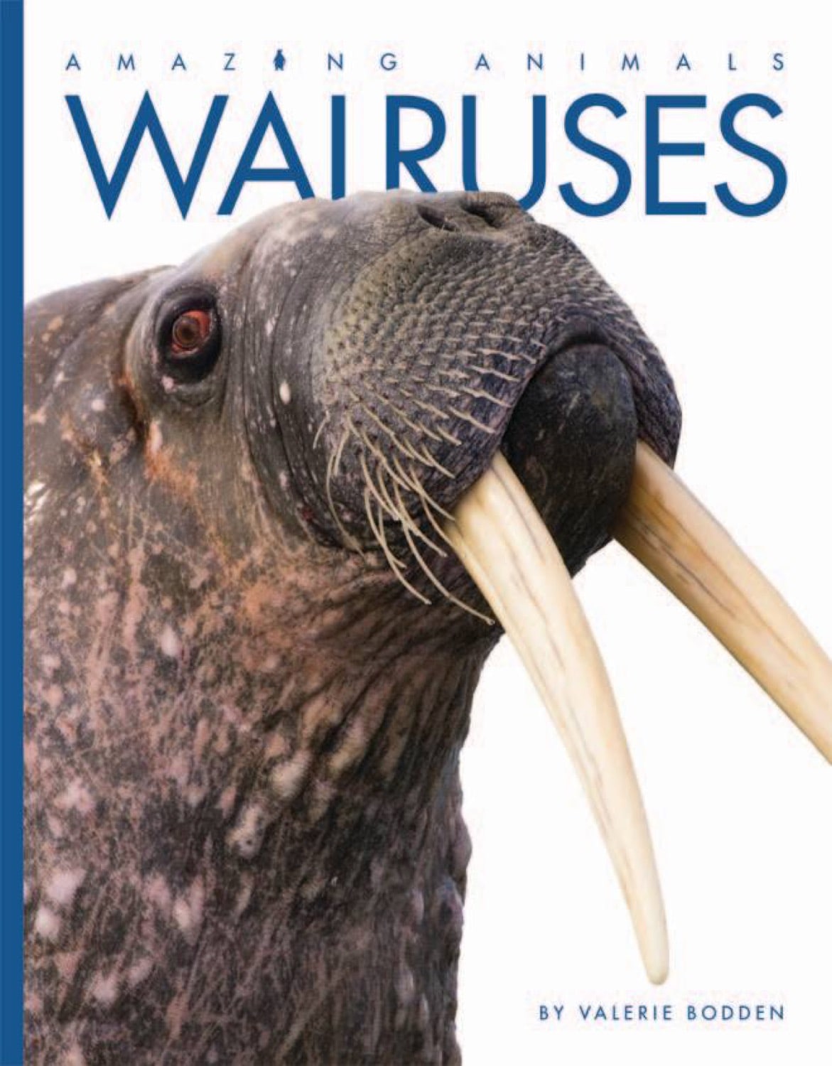 Amazing Animals (2014): Walruses - Educational Wildlife Documentary | Learn About Marine Mammals & Arctic Wildlife | Perfect for Nature Lovers & Classroom Learning