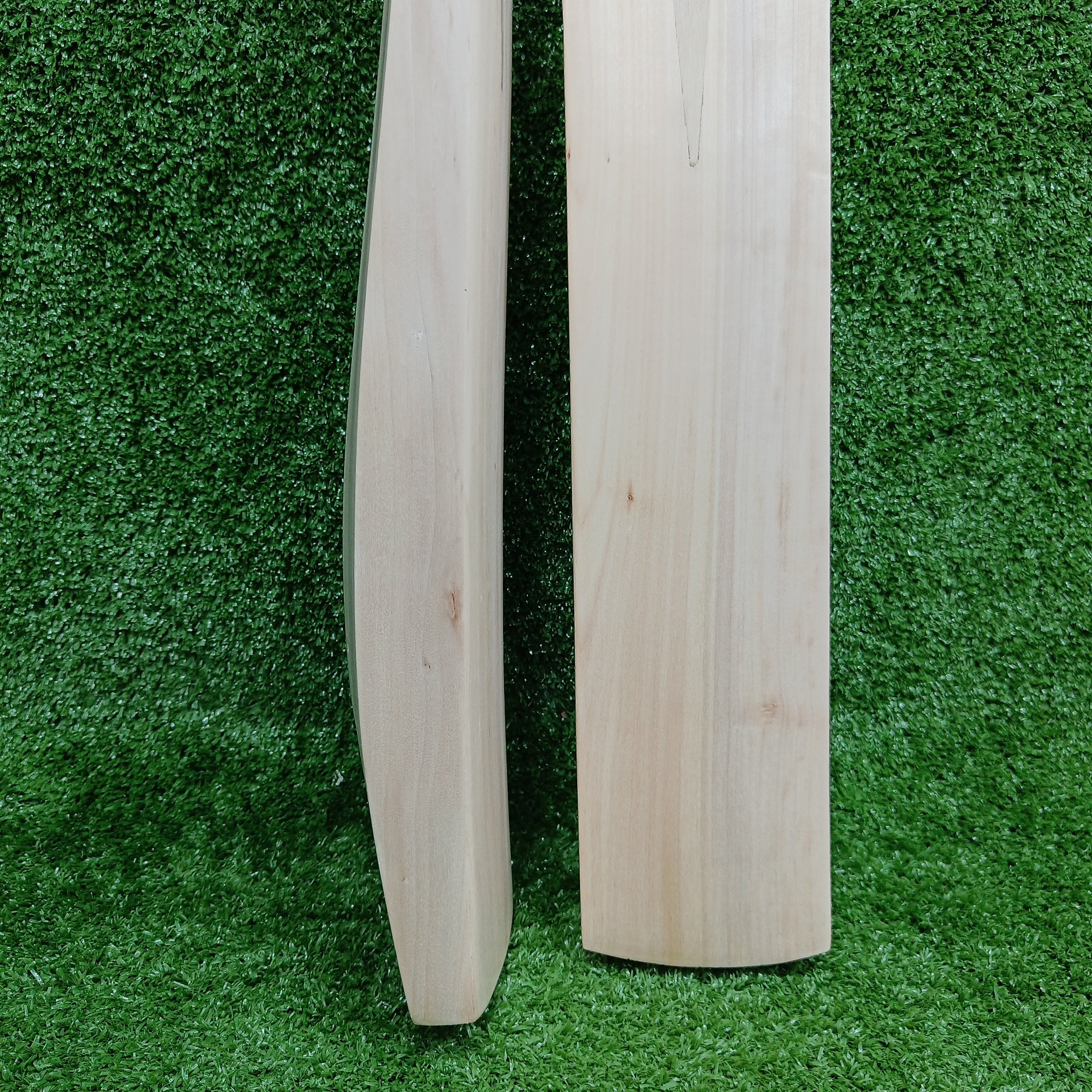Premium Raydn Mongoose Kashmir Willow Adult Cricket Bat - Lightweight & Durable for Professional Matches & Practice Sessions