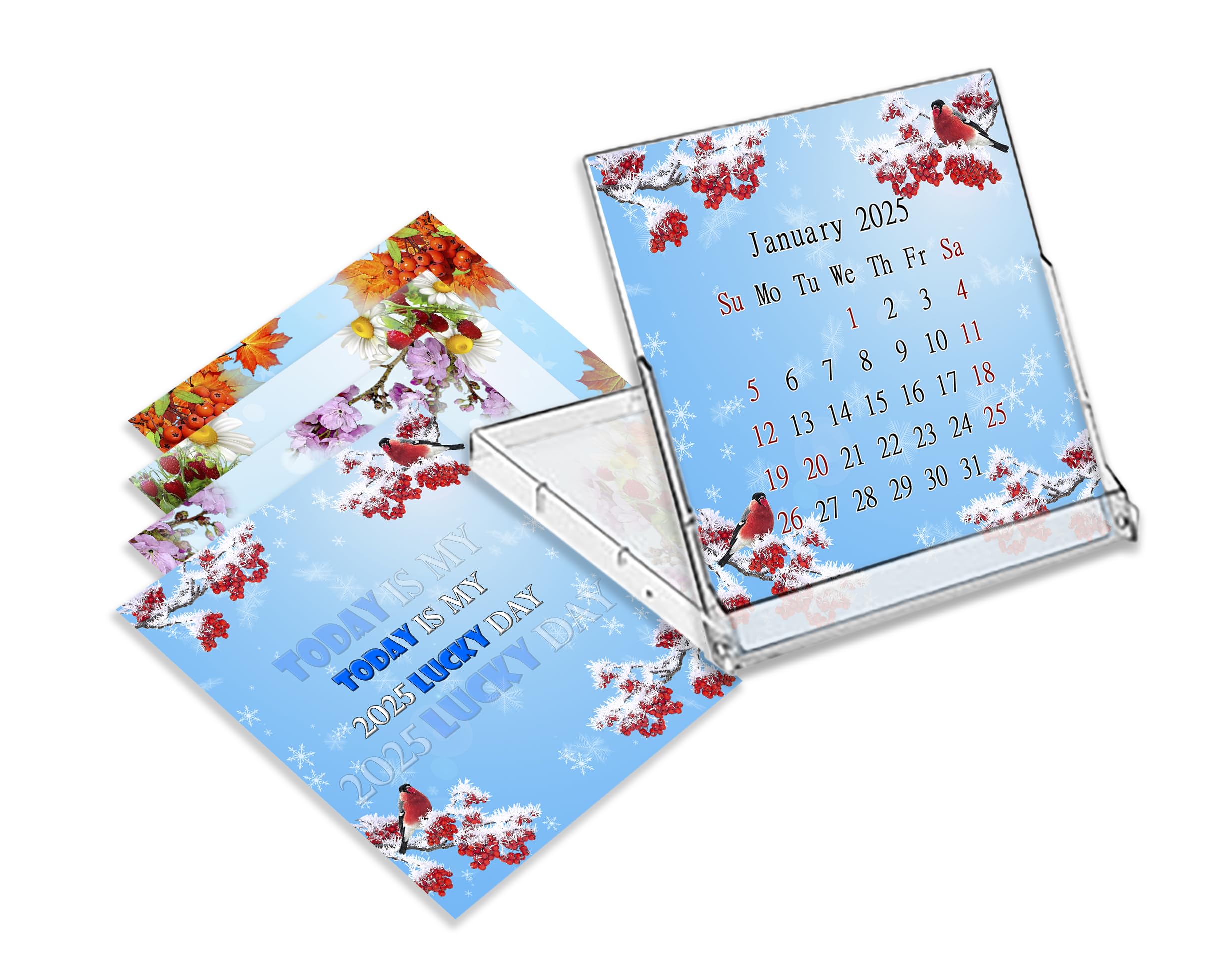 2025 CD-Style Desk Calendar - 12 Month Planner with CD Case Stand | Office Decor & Christmas Gift Idea | Perfect for Workstations, Home Offices & Holiday Gifting (Edition #016)