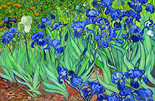 Irises
