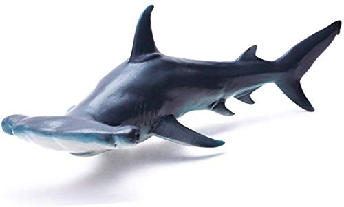 Shark Toys
