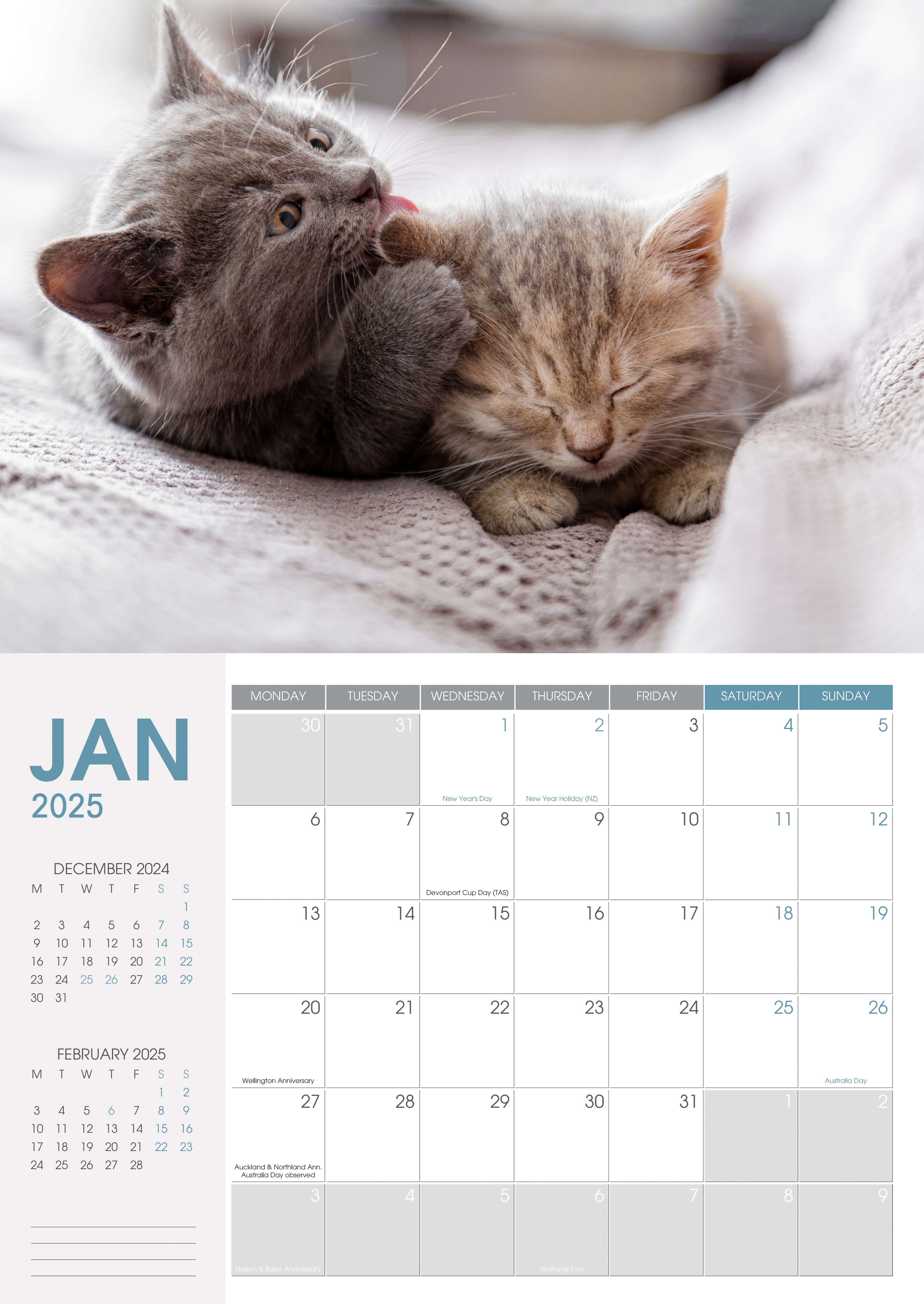 2025 Collins A4 Wall Calendar with Cute Cats & Dogs Design - 8.3