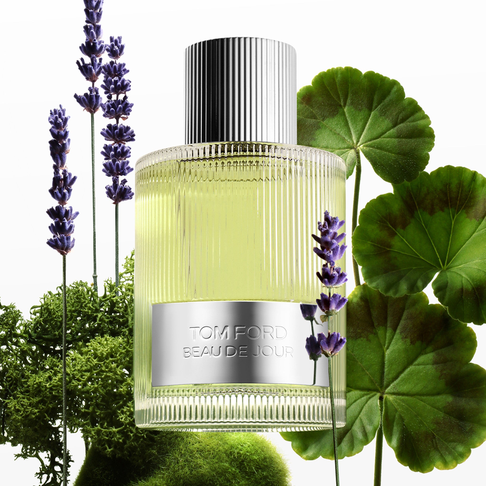 Beau de Jour Eau de Parfum Spray for Men - Luxury Fragrance with Fresh Woody Notes - Perfect for Date Night & Formal Occasions