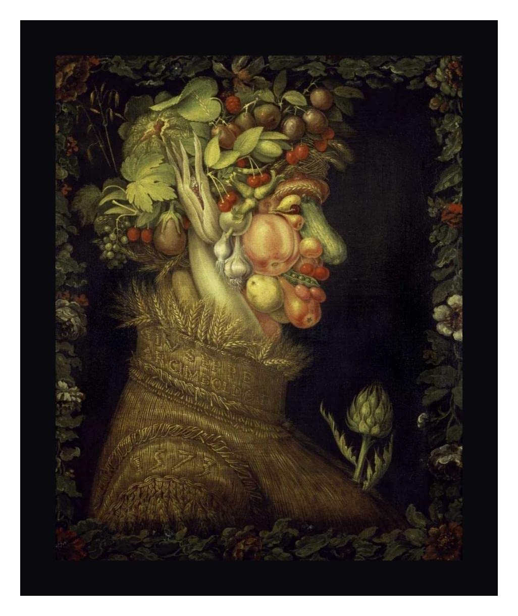 Summer by Giuseppe Arcimboldo - 20x24 Inch Framed Canvas Wall Art Print with Black Wood Frame - Ready to Hang - Perfect for Living Room, Bedroom & Office Decor