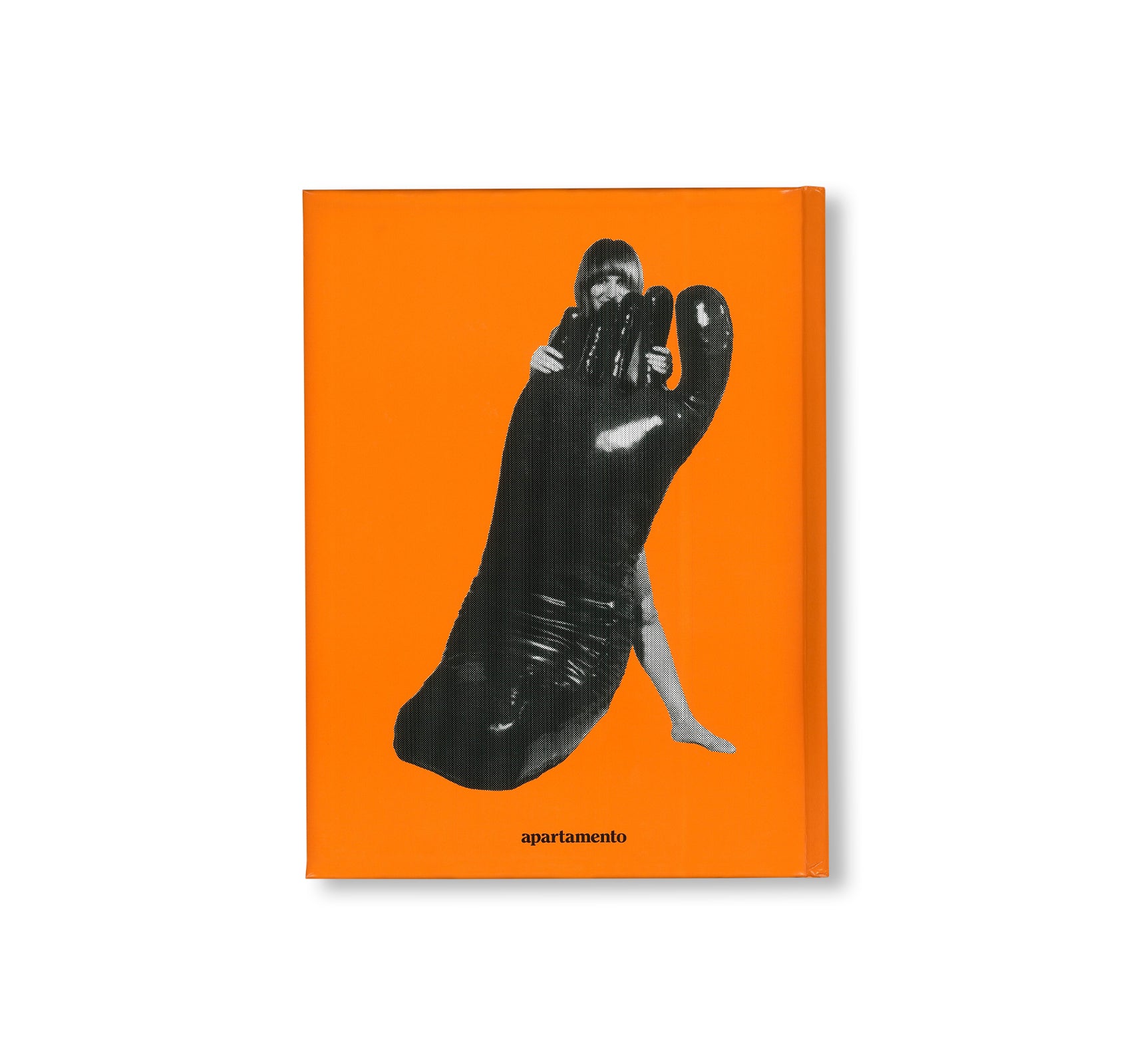 Nicola L.: Life and Art - Biography & Works of Artist Nicola L. | Perfect for Art Lovers, Collectors, and Students
