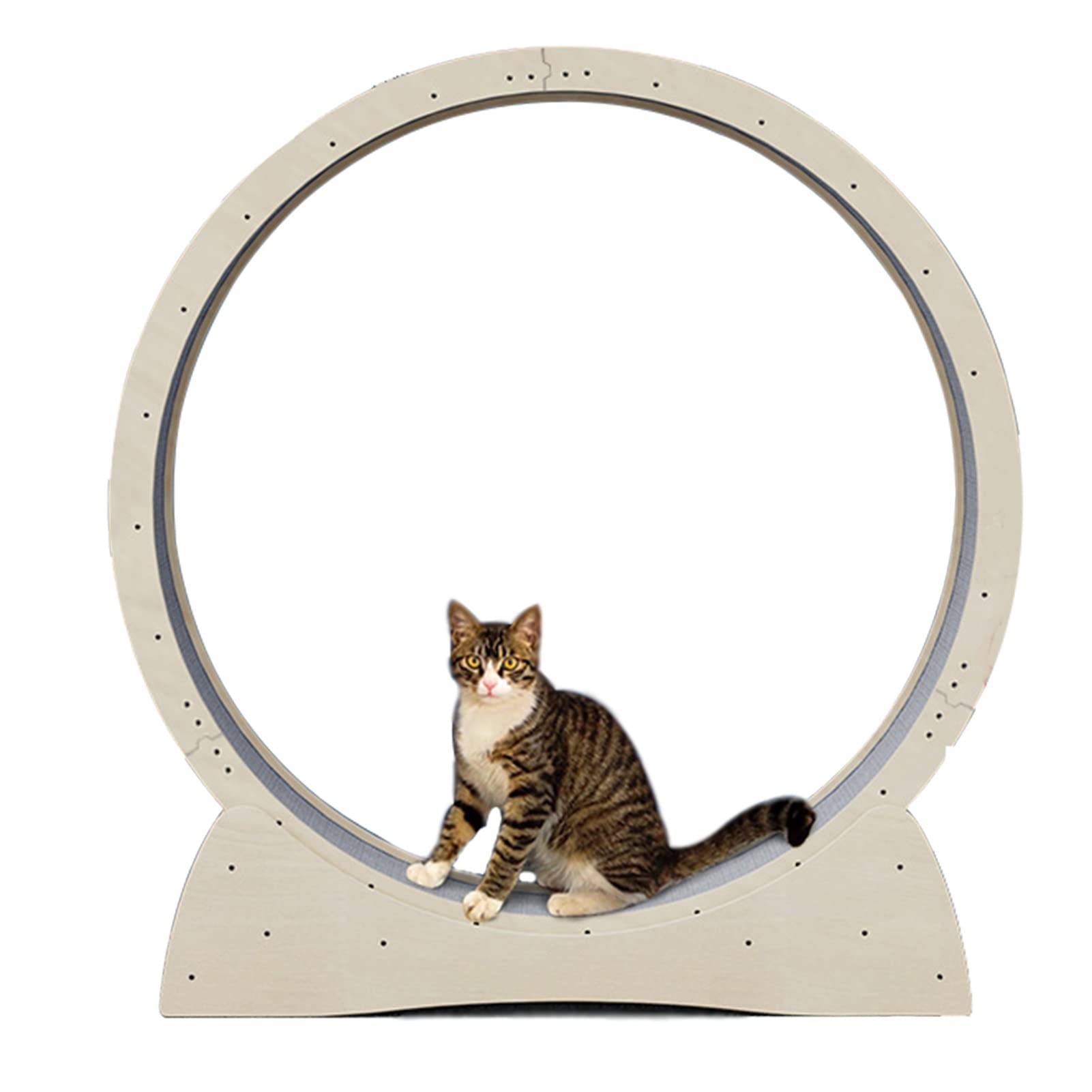 Premium Cat Exercise Wheel with Replaceable Scratch Board - Indoor Cat Running Wheel for Active Pets - Easy Assembly Cat Tower for Play & Fitness - Perfect for Small Spaces & Apartment Living