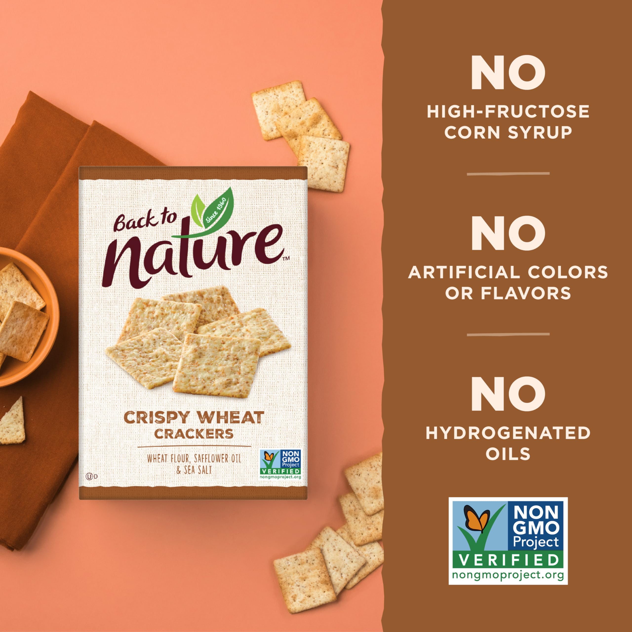 Organic Wheat Crackers - Dairy Free, Non-GMO, Sea Salt Snacks for Picnics & Office