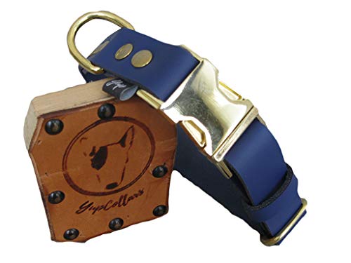 Blue Leather Quick Release Dog Collar with Brass Hardware - Safe Breakaway Design for Small & Medium Dogs - Perfect for Walking, Training & Outdoor Adventures