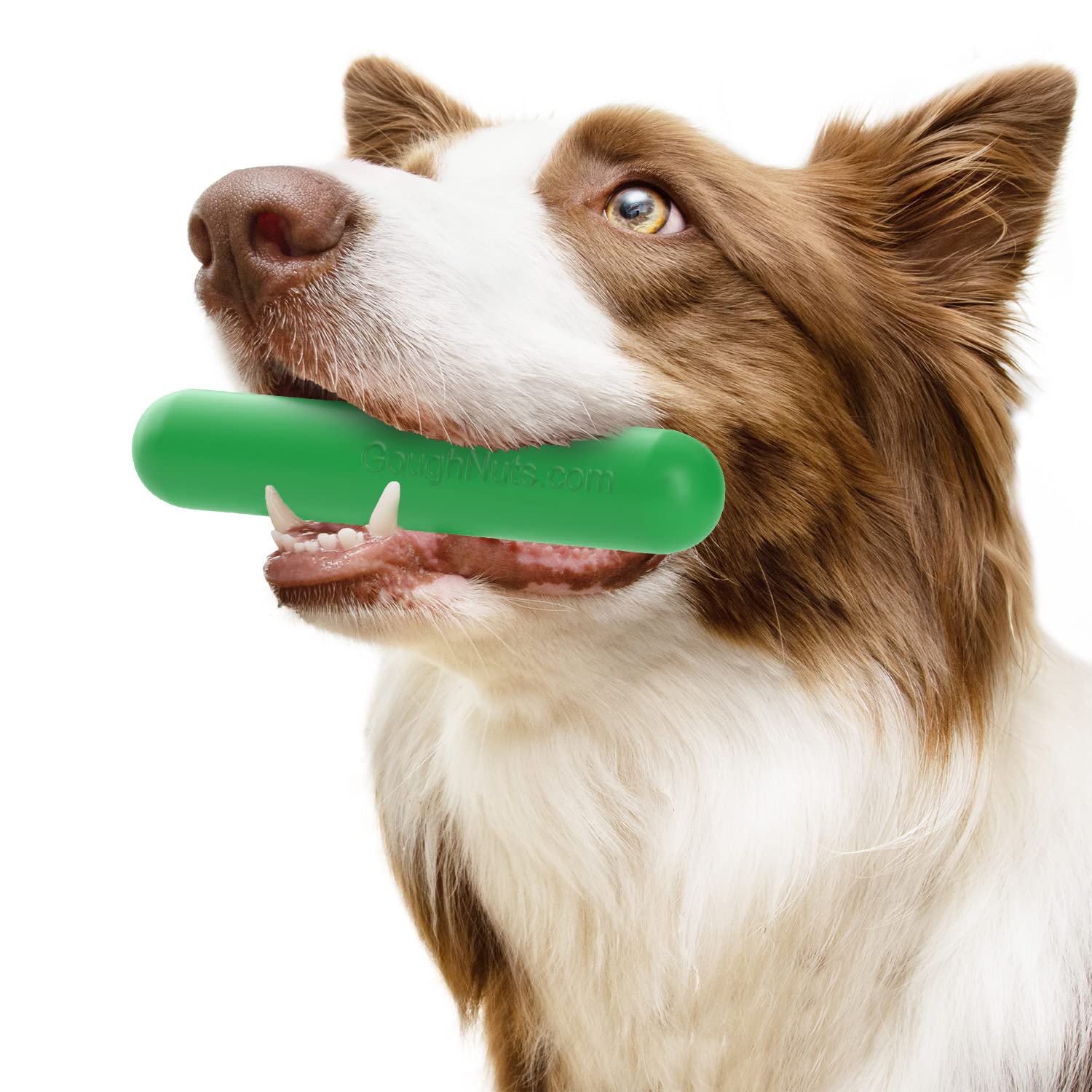 Goughnuts Virtually Indestructible Dog Chew Toy for Aggressive Chewers - Heavy Duty Chew Stick for Small to Medium Dogs - Durable Green Rubber Dog Toy for Training, Playtime & Anxiety Relief