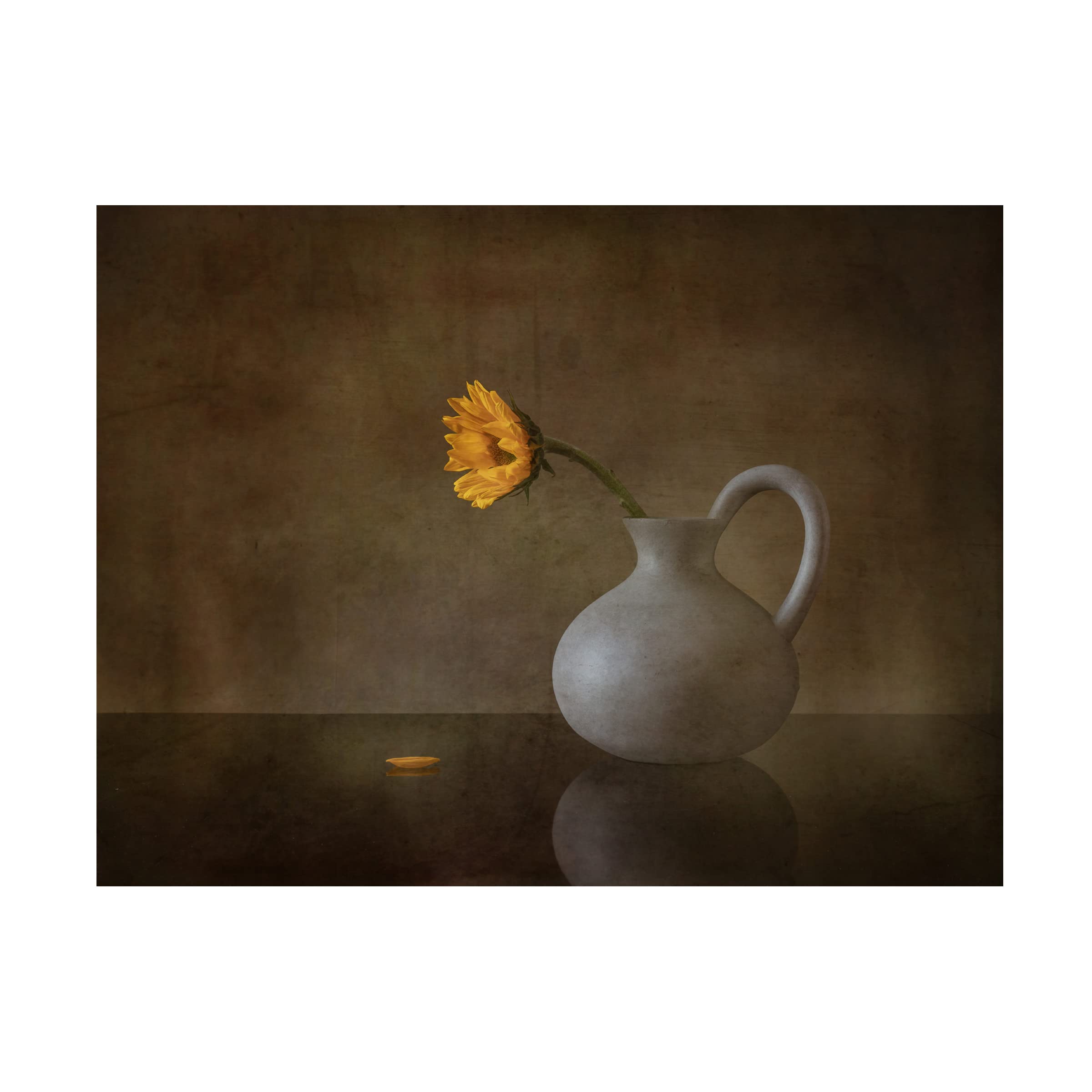 Trademark Fine Art 'Life' Canvas Art Print by May G - Vibrant Wall Decor for Living Room, Bedroom & Office