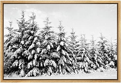 Tree-h01