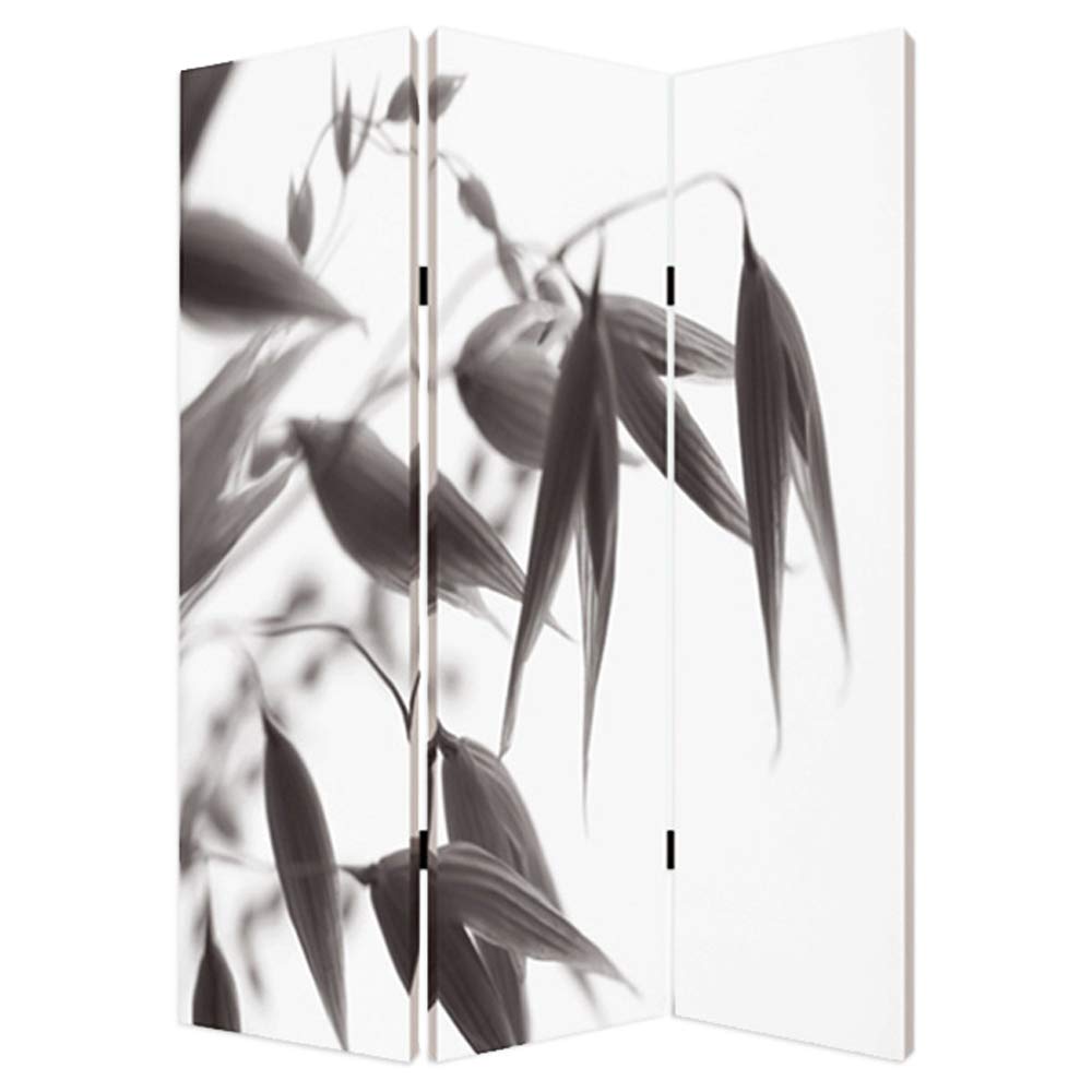 Screen Gems Lilly Folding Room Divider - 6 Panel Privacy Partition for Home, Office & Events - Decorative Freestanding Screen with Floral Design