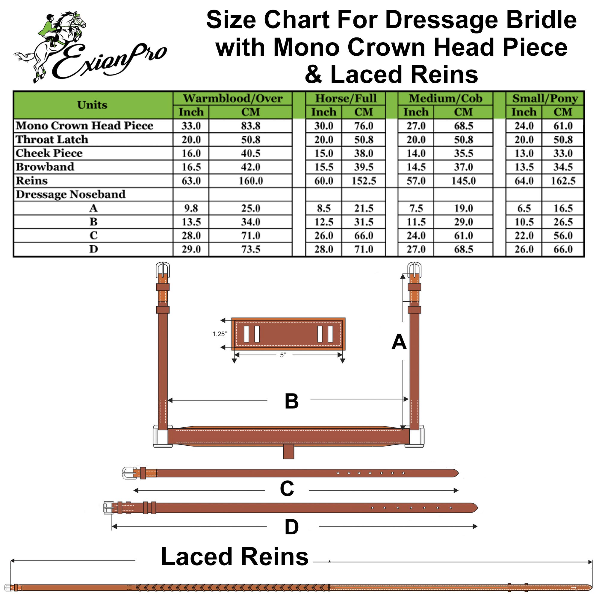 Premium Horse Dressage Bridle with Soft Padded Anatomic Crank Noseband & Reins - Comfortable Equestrian Training Gear for Dressage, Jumping & Riding Lessons