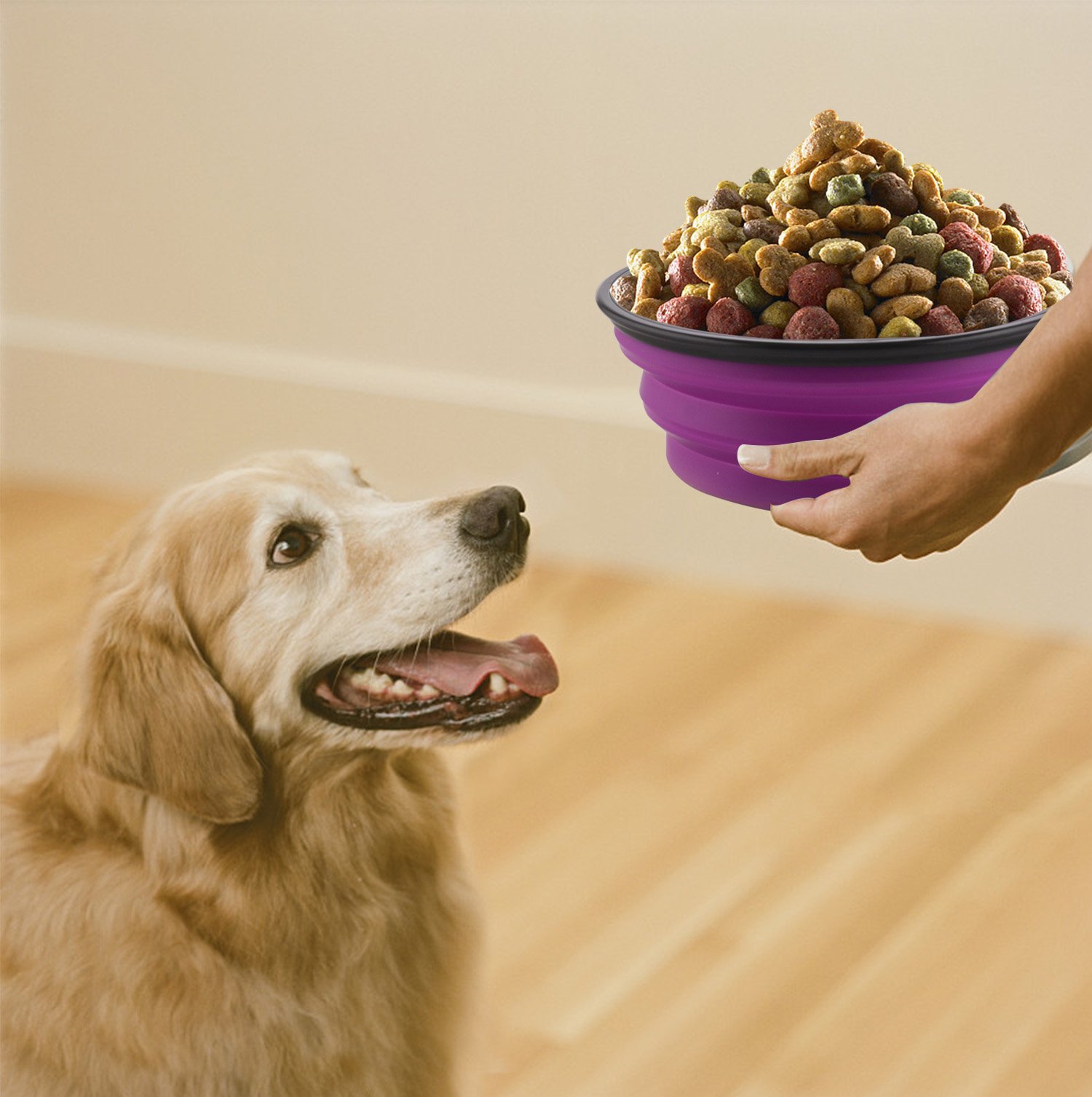 34oz Collapsible Dog Bowls 2 Pack - Portable Foldable Travel Water & Food Bowl for Dogs with Carabiner Clip - Lightweight Pet Feeding Dish for Hiking, Camping, Walking, Outdoor Adventures (Purple + Green)